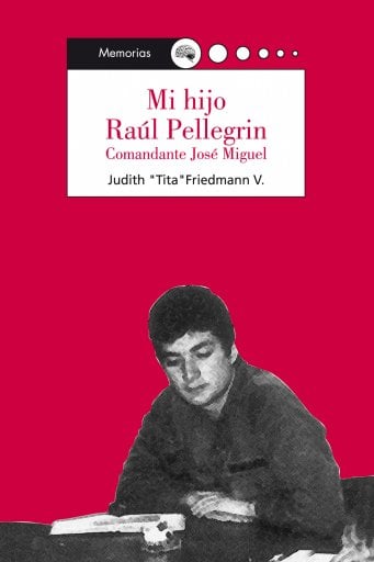 MI HIJO RAÚL PELLEGRIN (EBOOK)