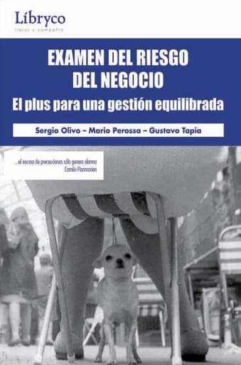 EXAMEN DEL RIESGO DEL NEGOCIO EL PLUS PARA UNA GESTIÓN EQUILIBRADA (EBOOK)