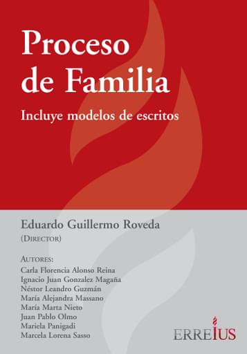 PROCESO DE FAMILIA (EBOOK)