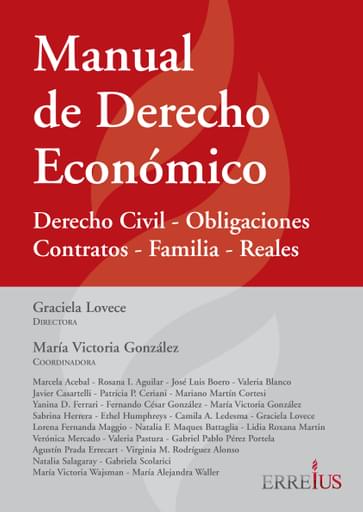 MANUAL DE DERECHO ECONÓMICO (EBOOK)