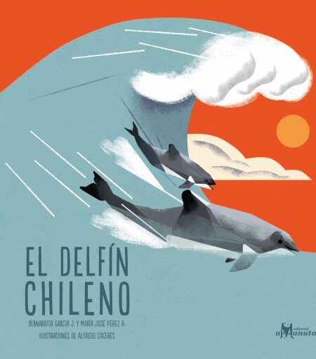 DFÍN CHILENO, EL (EBOOK)