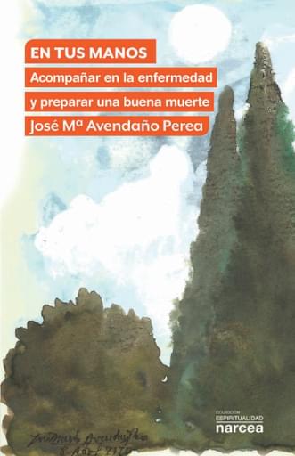 EN TUS MANOS. ACOMPAÑAR EN LA ENFERMEDAD Y PREPARAR UNA BUENA MUERTE (EBOOK)