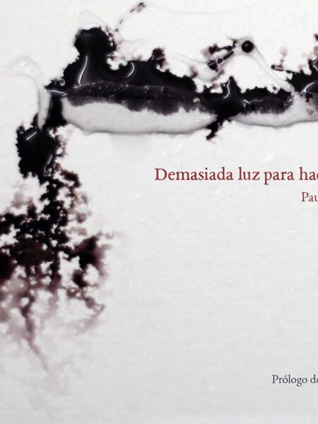 DEMASIADA LUZ PARA HACER POESÍA (EBOOK)