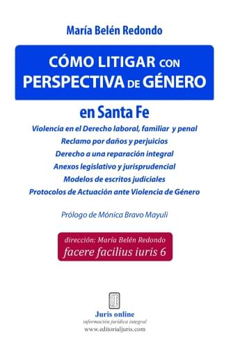 CÓMO LITIGAR CON PERSPECTIVA DE GÉNERO EN SANTA FE. FACERE FACILIUS IURIS 6 (EBOOK)