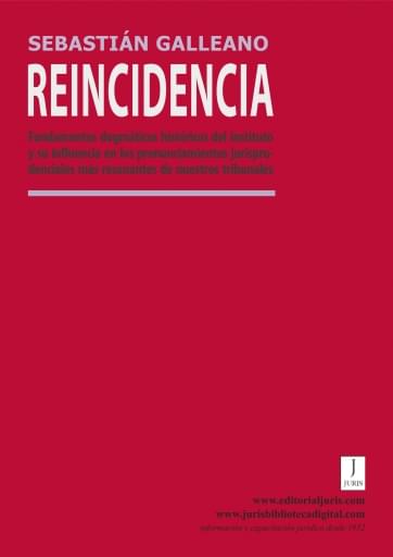 REINCIDENCIA. FUNDAMENTOS DOGMÁTICOS HISTÓRICOS DEL INSTITUTO Y SU INFLUENCIA EN LOS PRONUNCIAMIENTOS JURISPRUDENCIALES MÁS RESONANTES… (EBOOK)