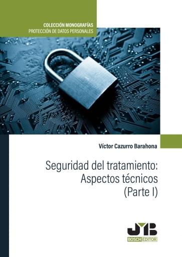 SEGURIDAD DEL TRATAMIENTO: ASPECTOS TÉCNICOS (PARTE I) (EBOOK)