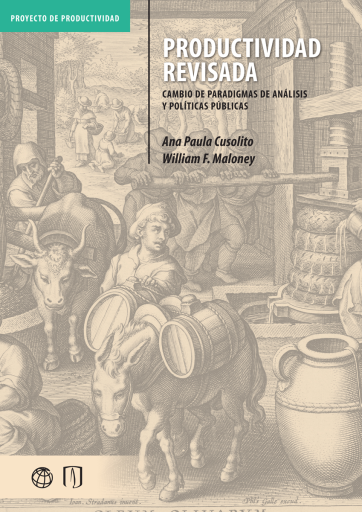 PRODUCTIVIDAD REVISADA. CAMBIO DE PARADIGMAS DE ANÁLISIS Y POLÍTICAS PÚBLICAS (EBOOK)