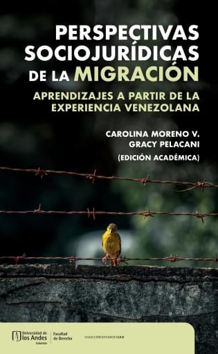 PERSPECTIVAS SOCIOJURÍDICAS DE LA MIGRACIÓN. APRENDIZAJES A PARTIR DE LA EXPERIENCIA VENEZOLANA (EBOOK)