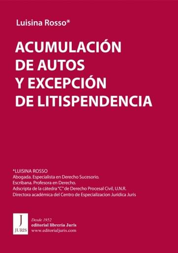 ACUMULACIÓN DE AUTOS Y EXCEPCIÓN DE LITISPENDENCIA (EBOOK)