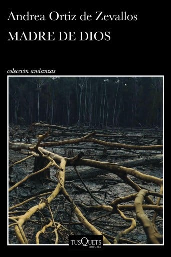 MADRE DE DIOS (EBOOK)