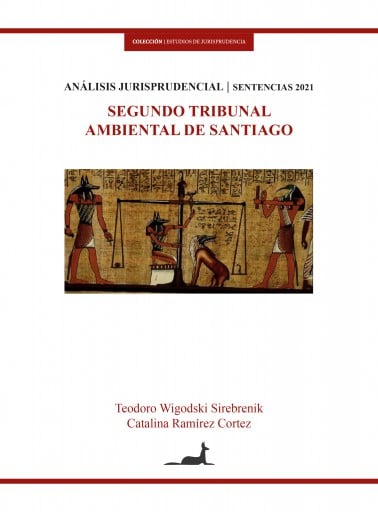 SEGUNDO TRIBUNAL AMBIENTAL DE SANTIAGO: ANÁLISIS JURÍSPRUDENCIAL SENTENCIAS 2021 (EBOOK)