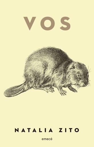 VOS (EBOOK)