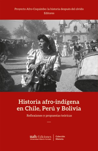 HISTORIA AFRO-INDÍGENA EN CHILE, PERÚ Y BOLIVIA: REFLEXIONES Y PROPUESTAS TEÓRICAS (EBOOK)