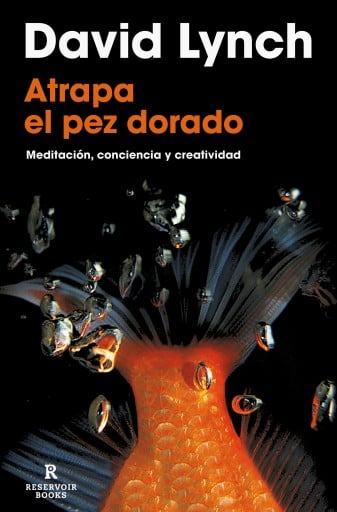 ATRAPA EL PEZ DORADO (EBOOK)