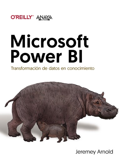 MICROSOFT POWER BI. TRANSFORMACION DE DATOS EN CONOCIMIENTO (EBOOK)