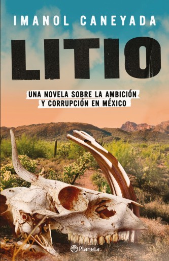 LITIO (EBOOK)
