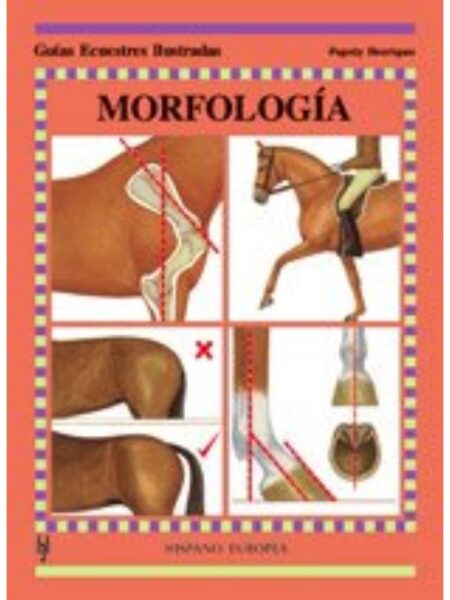 MORFOLOGÍA -GUÍAS ECUESTRES ILUSTRADAS-