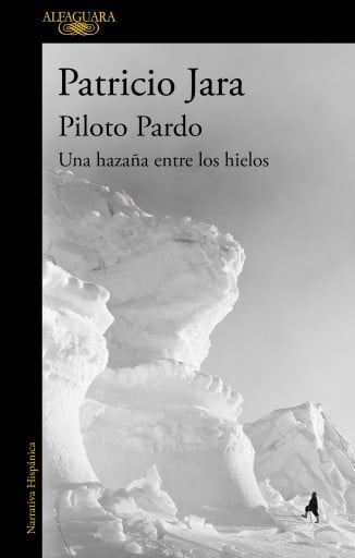 PILOTO PARDO, UNA HAZAÑA ENTRE LOS HIELOS (EBOOK)