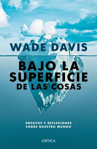 BAJO LA SUPERFICIE DE LAS COSAS (EBOOK)