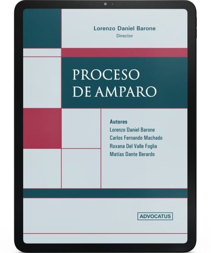 PROCESO DE AMPARO (EBOOK)