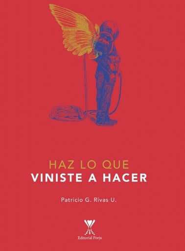 HAZ LO QUE VINISTE A HACER (EBOOK)