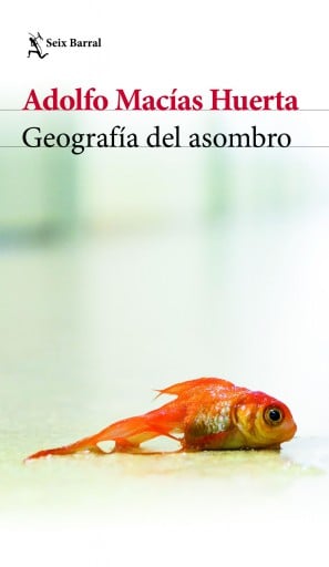 GEOGRAFÍA DEL ASOMBRO (EBOOK)