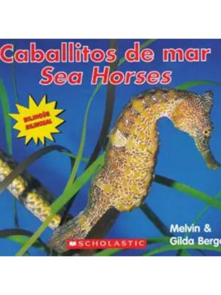CABALLITOS DE MAR. SEA HORSES