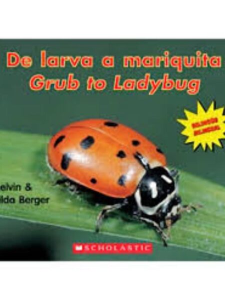 DE LARVA A MARIQUITA - GRUB TO LADYBUG