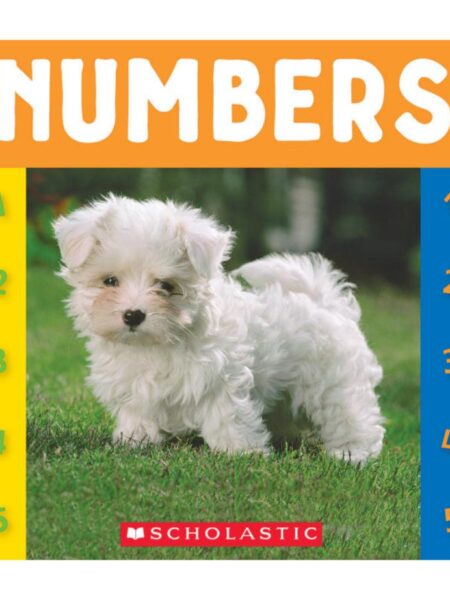 NUMBERS