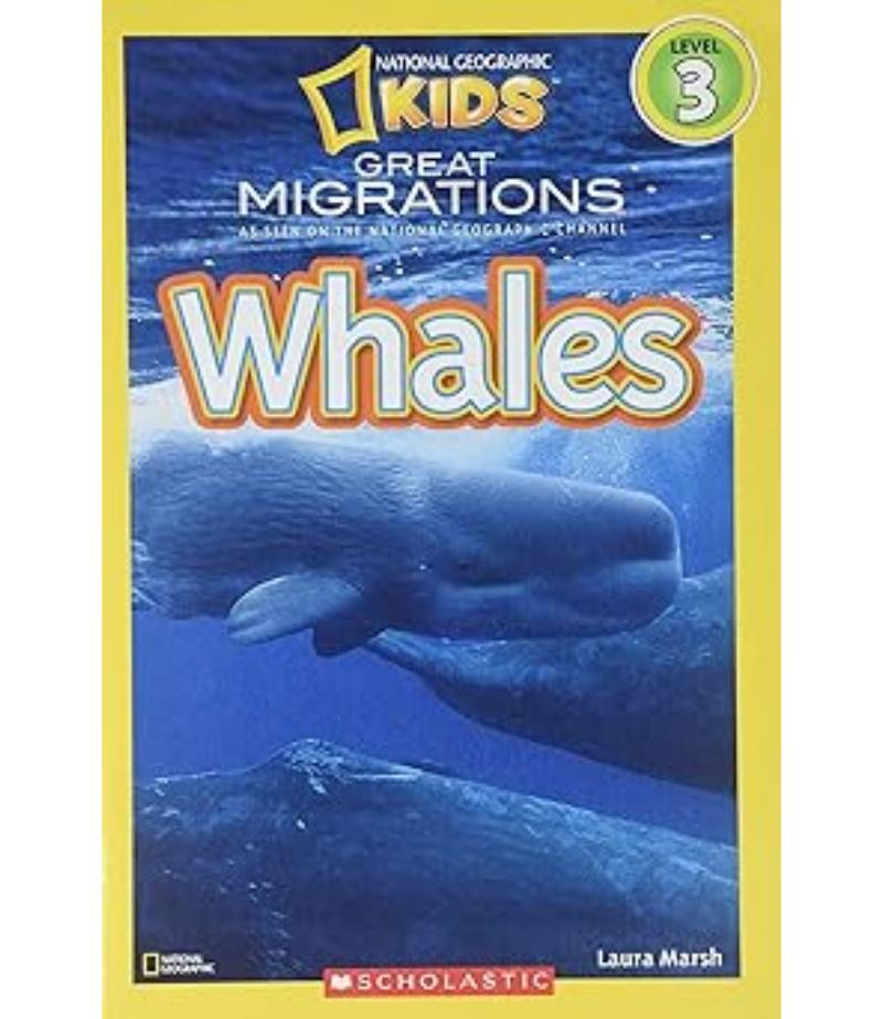 WHALES -GREAT MIGRATIONS-