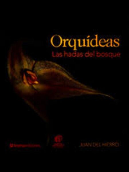 ORQUIDEAS LAS HADAS DEL BOSQUE