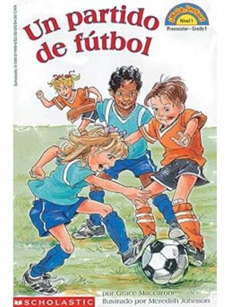 UN PARTIDO DE FÚTBOL