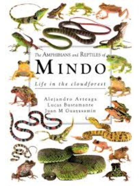 AMPHIBIANS AND REPTILES OF MINDO LIFE IN THE CLOUDFOREST