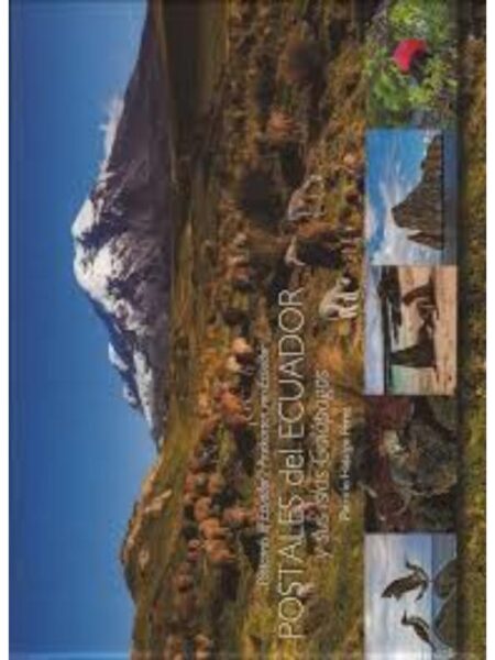 POSTALES DEL ECUADOR Y SUS ISLAS GALÁPAGOS