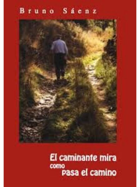 CAMINANTE MIRA COMO PASA EL CAMINO, EL