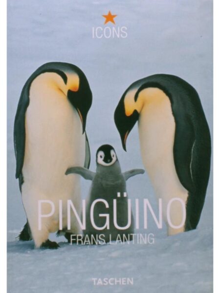 PINGUINO