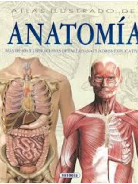 ATLAS ILUSTRADO DE ANATOMÍA