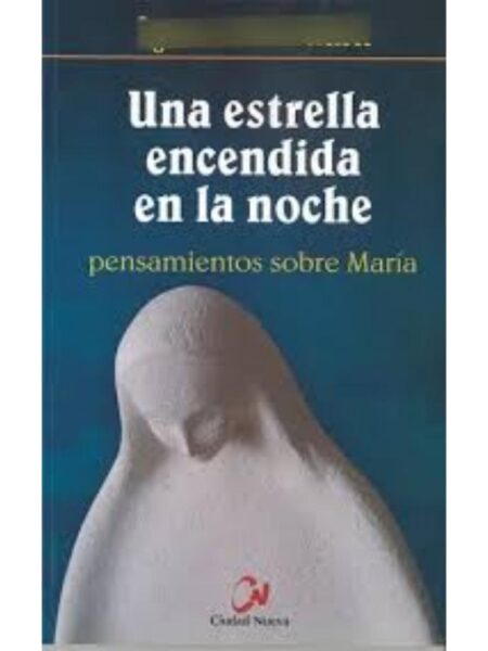 UNA ESTRELLA ENCENDIDA EN LA NOCHE
