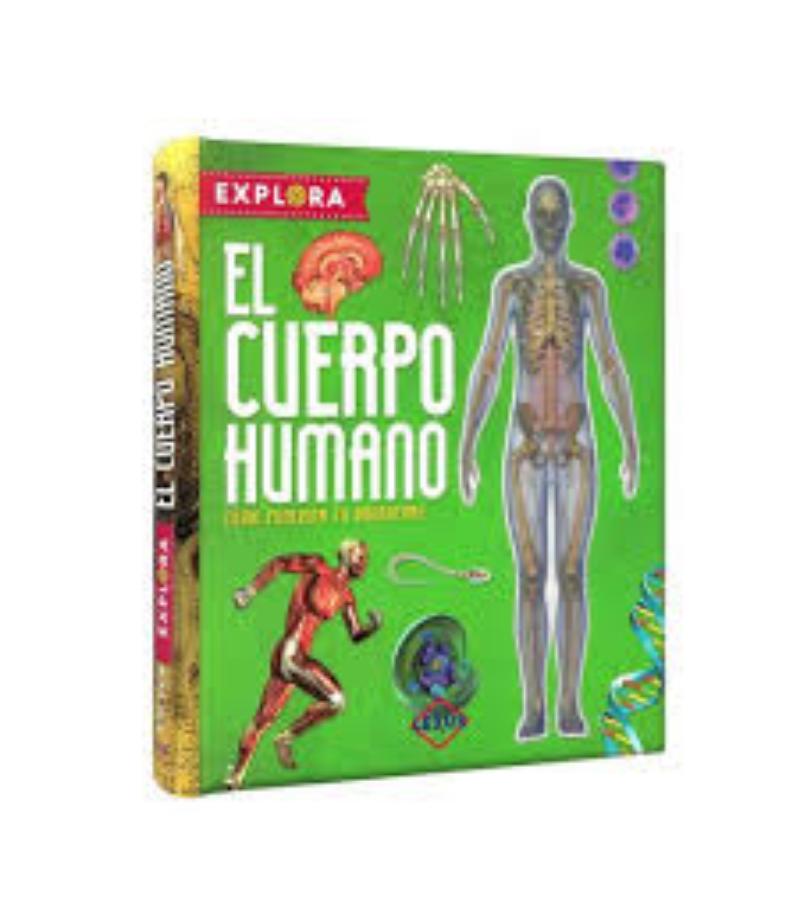 EXPLORA EL CURPO HUMANO, CÓMO FUNCIONA EL ORGANISMO