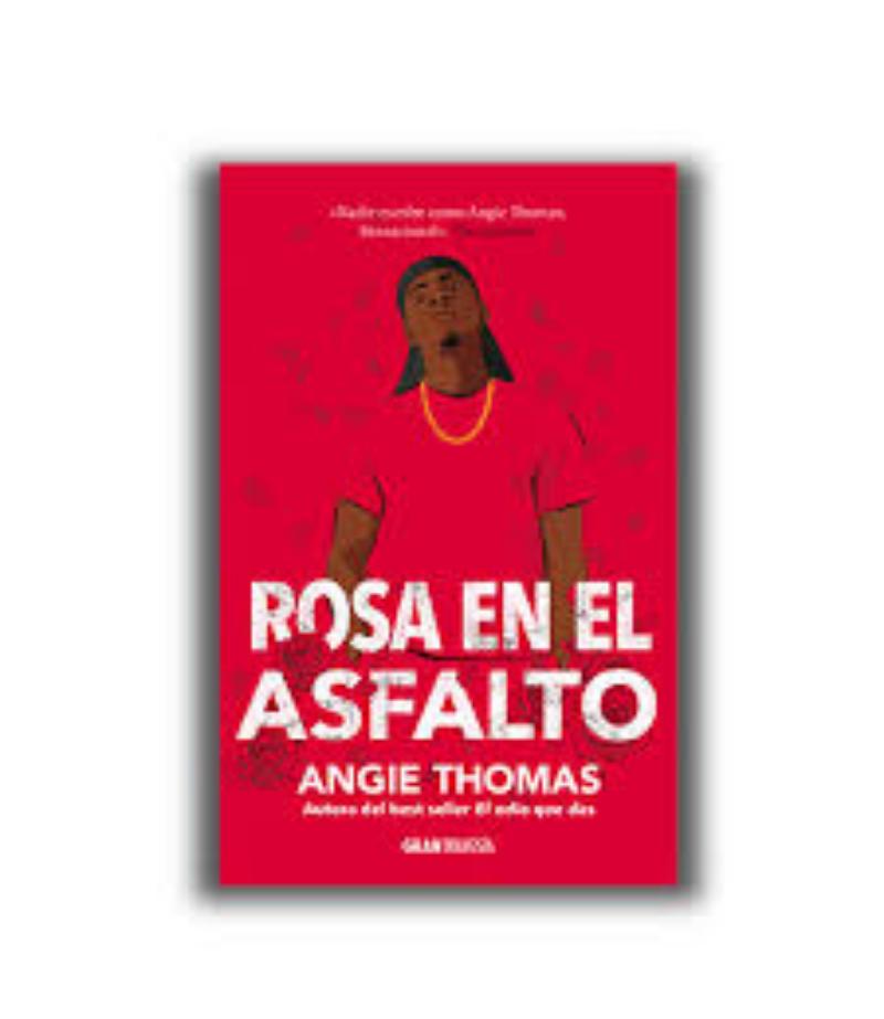 ROSA EN EL ASFALTO