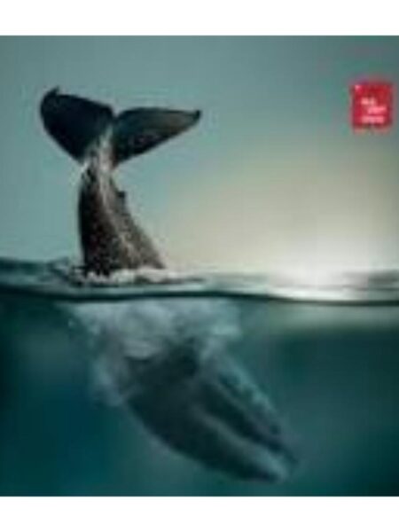 ÁNGEL DE LA PESTE, EL