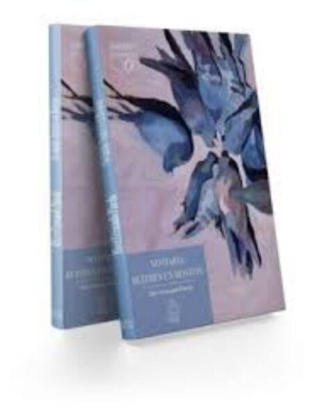 NO HABÍAN  BUITRES EN BOSTON