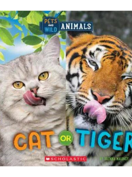 CAT OR TIGER (WILD WORLD: PETS AND WILD ANIMALS)