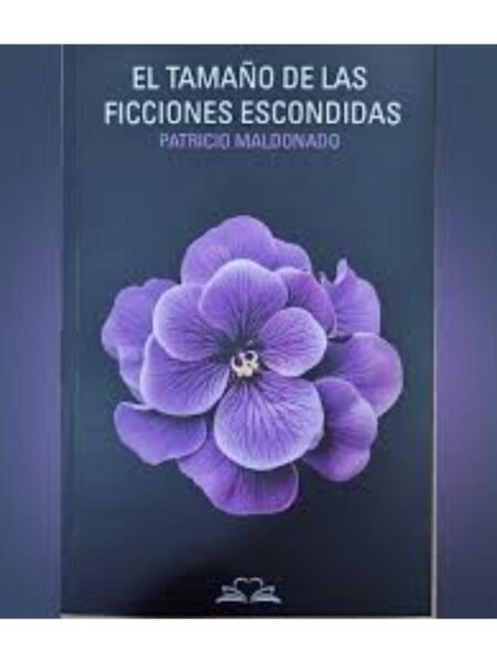 TAMAÑO DE LAS FICCIONES ESCONDIDA EL