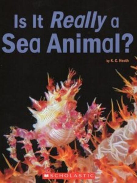 IS IT REALLY A SEA ANIMAL?
