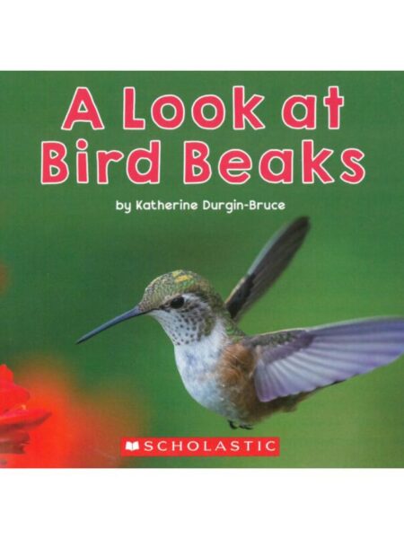 A LOOK AT BIRD BEAKS