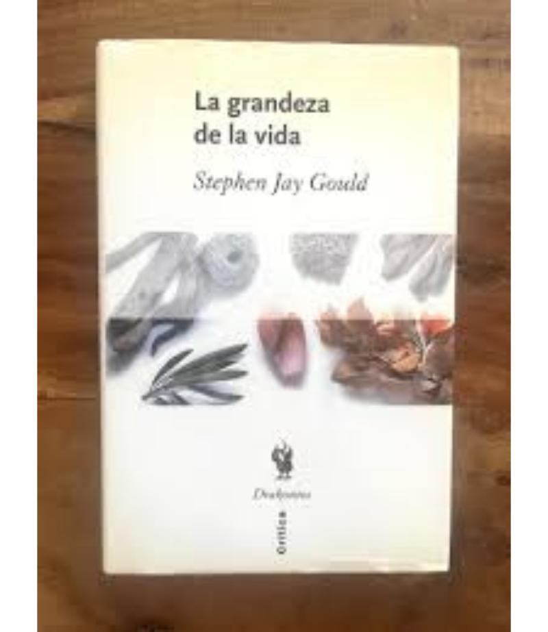 GRANDEZA DE LA VODA, LA