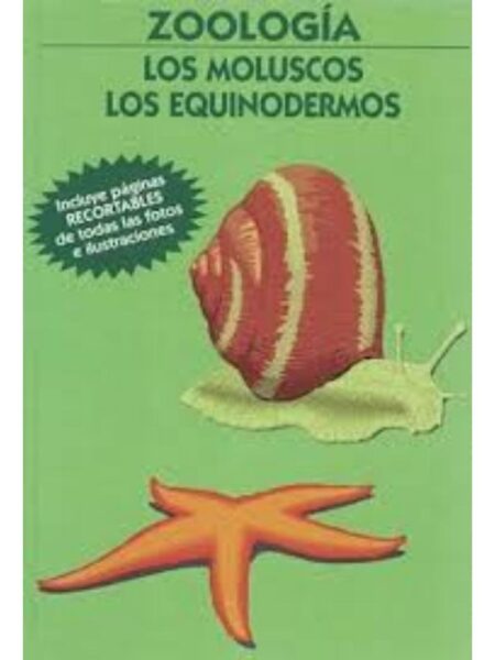 ZOOLOGÍA. LOS MOLUSCOS - LOS EQUINODERMOS