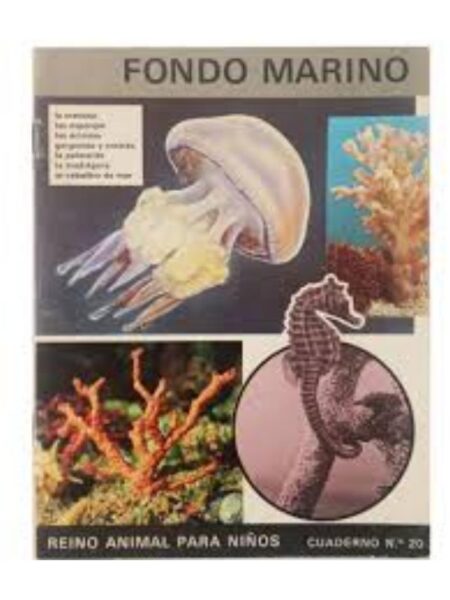 FONDO MARINO. REINO ANIMAL PARA NIÑOS. CUADERNO 20