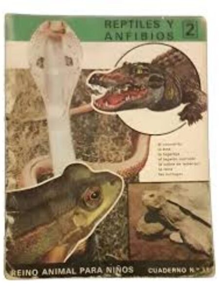 REPTILES Y ANFIBIOS. REINO ANIMAL PARA NIÑOS. CUADERNO 11
